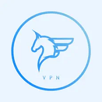 飞马加速器卡密